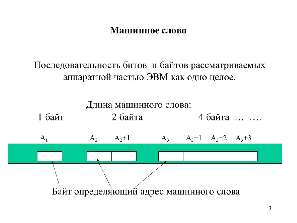 3 3 Машинное слово Последовательность битов и байтов рассматриваемых аппаратной частью ЭВМ как одно